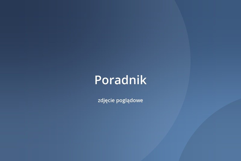 Ile naprawdę kosztuje strona internetowa