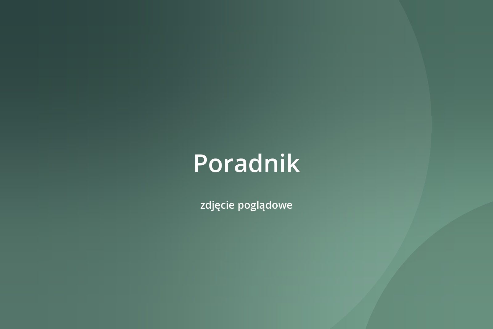 Strona nie działa. Co robić w pierwszej godzinie