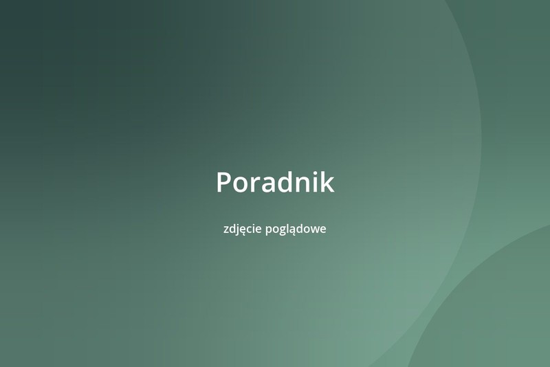 Strona nie działa. Co robić w pierwszej godzinie