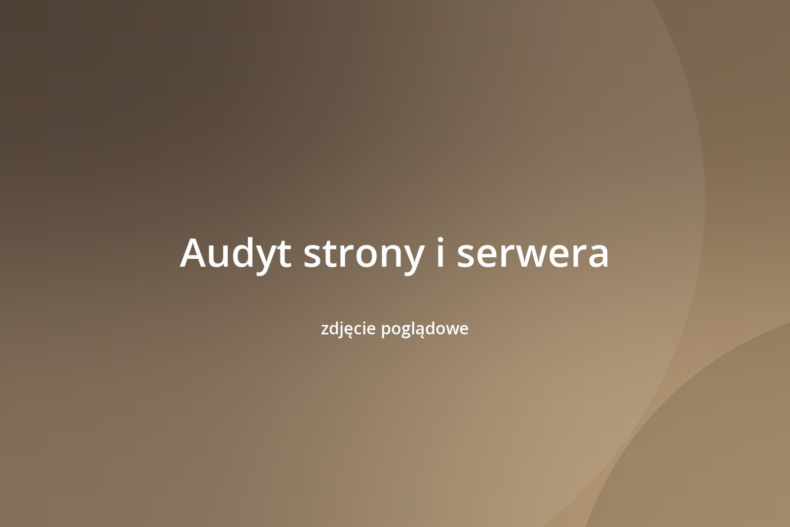 Audyt strony i serwera