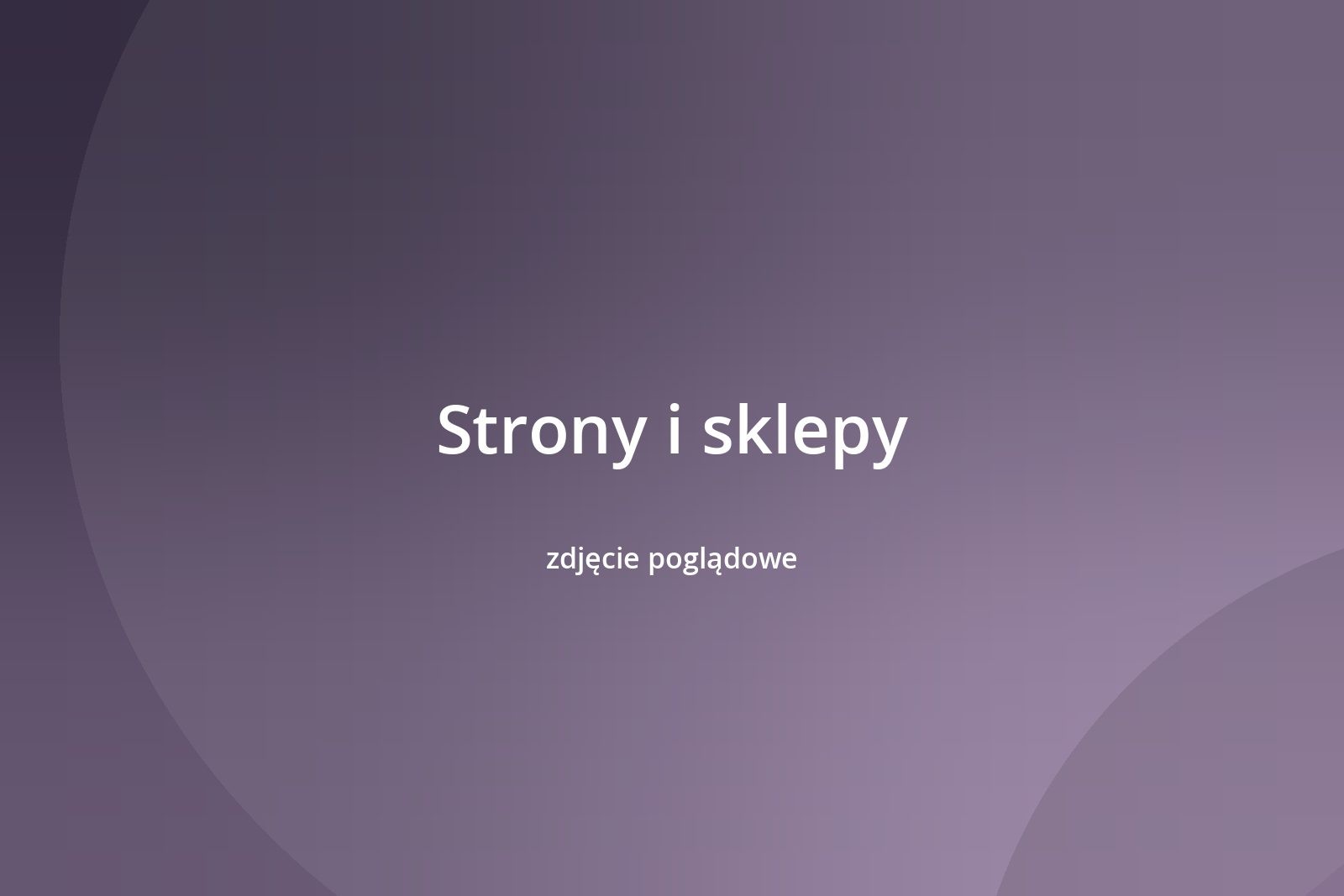 Strona biura rachunkowego z panelem klienta